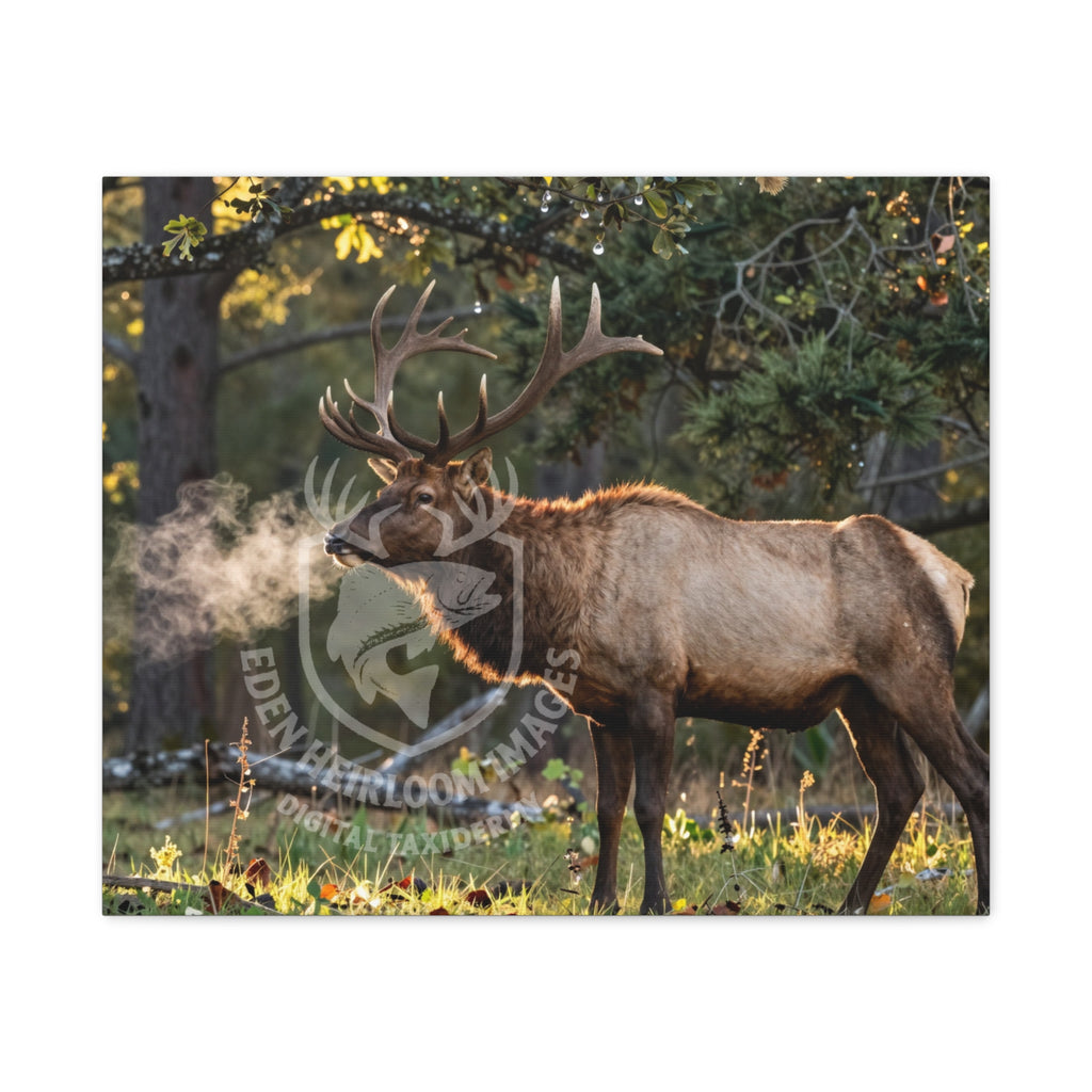 Image of bull elk in woodland clearing, early morning light, puff of steam from breath, ultra realistic digital wildlife print