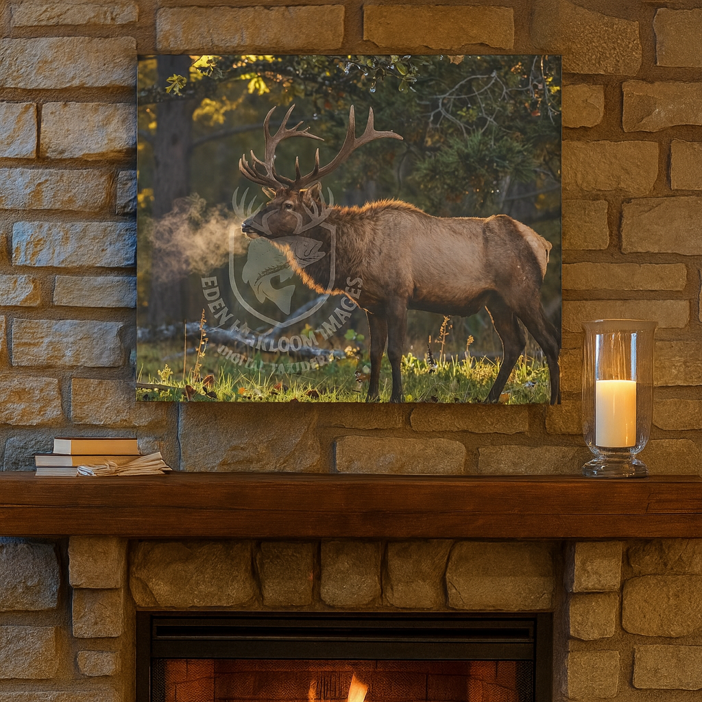 Canvas Mock-up of Ultra-realistic bull elk limited edition digital taxidermy canvas print. Canvas on fireplace mantle showing bull elk in a woodland clearing.