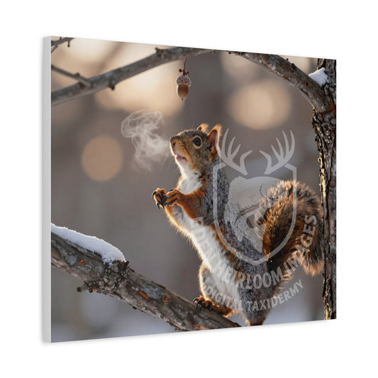 Stretched Canvas Limited Edition Digital Print of grey squirrel finding a lone acorn hanging from a tree, early sunrise, snow on branches, ultra realistic details.