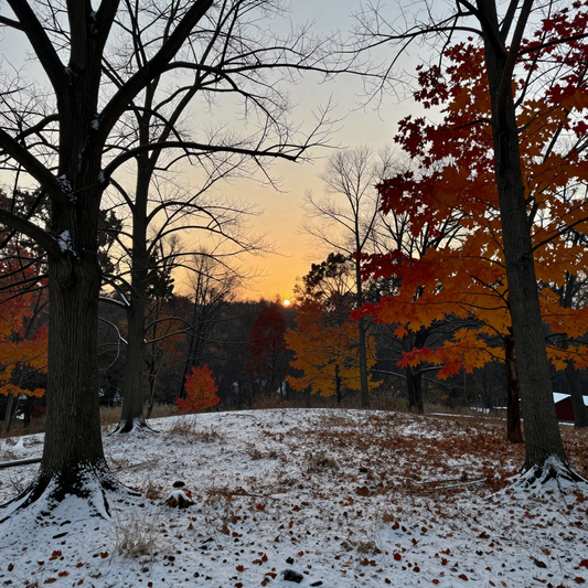 Whitetail Buck 'Winter Scene' Digital Taxidermy Canvas | 20x24 to 40x60 Canvas Sizes | Free Digital Download